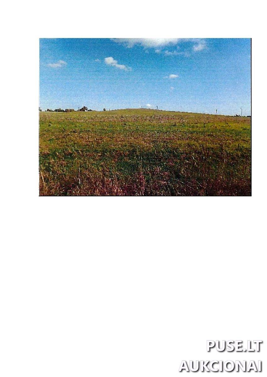 Žemės sklypas Sklypai Palapiškės, Stakliškių sen., Prienų r. sav. 5