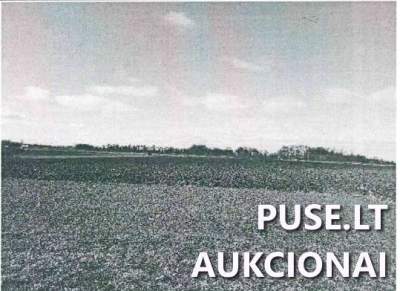 Žemės ūkio paskirties sklypo dalis Marijampolės rajone, Balsupių kaime, pradinė kaina 720 EUR