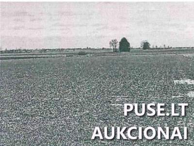 Žemės ūkio paskirties sklypo dalis Marijampolės r. Balsupių k., pradinė kaina 1280 EUR