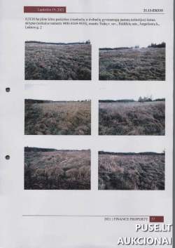 Sklypai - Žemės sklypas