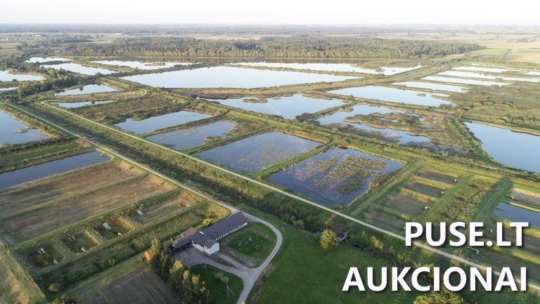 Sandėlis Pastatai Tvenkinių g. 13, 59271 Mikalinė, Šilavoto sen., Prienų r. sav. 2