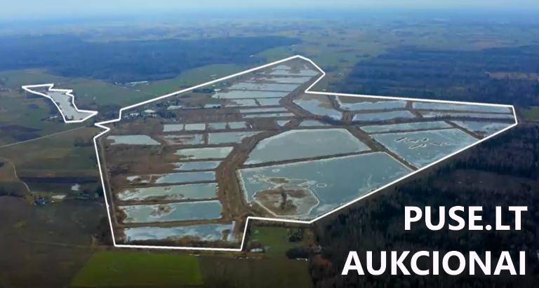 Sandėlis Pastatai Tvenkinių g. 13, 59271 Mikalinė, Šilavoto sen., Prienų r. sav. 5
