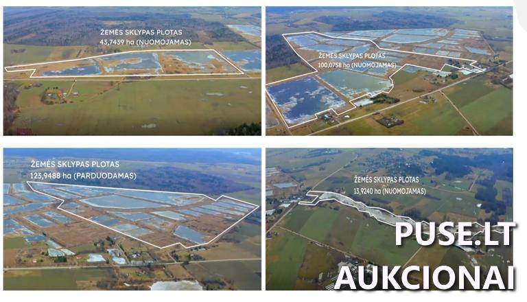 Sandėlis Pastatai Tvenkinių g. 13, 59271 Mikalinė, Šilavoto sen., Prienų r. sav. 6
