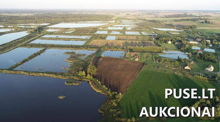 Sandėlis Pastatai Tvenkinių g. 13, 59271 Mikalinė, Šilavoto sen., Prienų r. sav. 7