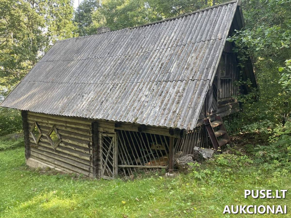Pirtis Pastatai Obelų rago kadagiai, Gamtinis paveldas. Obelų Rago k., Kaltanėnų sen., Švenčionių r. sav. 2