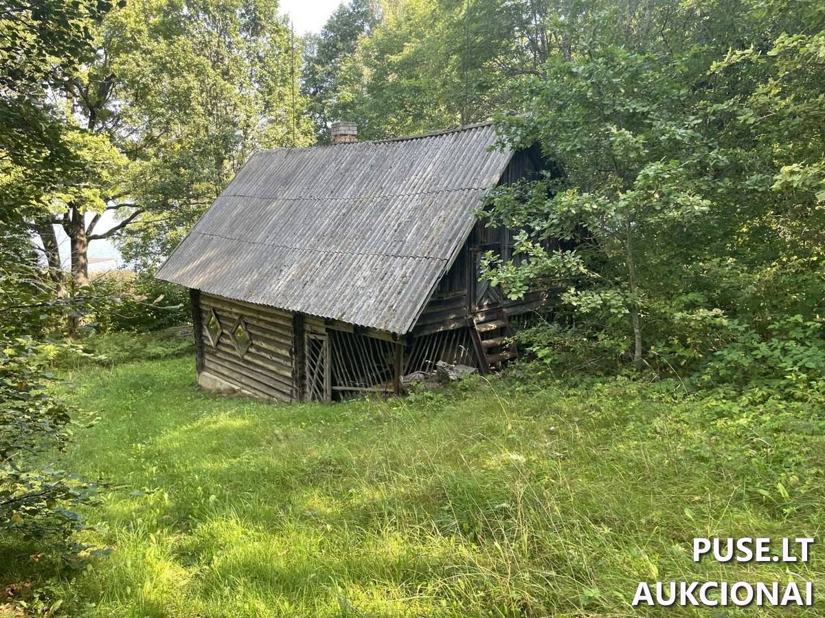 Pirtis Pastatai Obelų rago kadagiai, Gamtinis paveldas. Obelų Rago k., Kaltanėnų sen., Švenčionių r. sav. 3