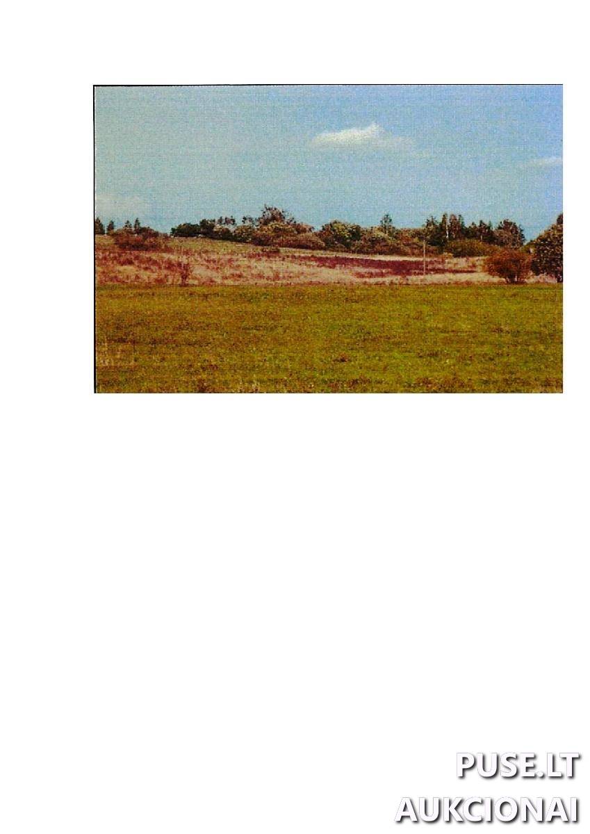 Žemės sklypas Sklypai Intuponys, Stakliškių sen., Prienų r. sav. 1