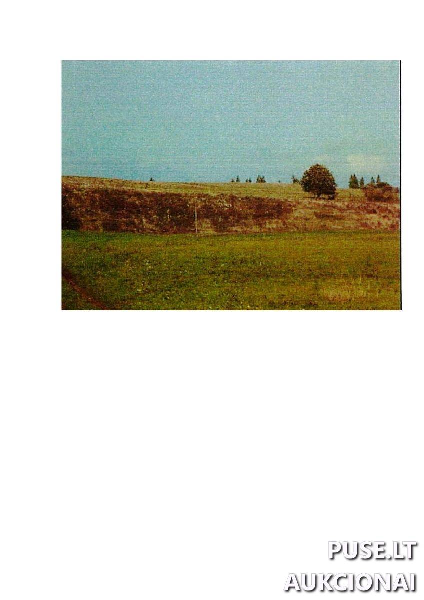 Žemės sklypas Sklypai Intuponys, Stakliškių sen., Prienų r. sav. 2