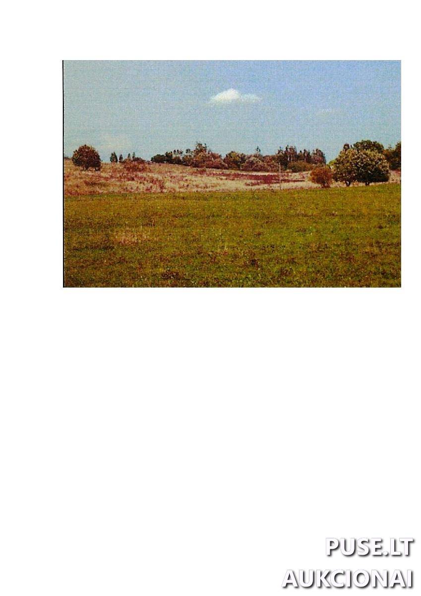 Žemės sklypas Sklypai Intuponys, Stakliškių sen., Prienų r. sav. 3