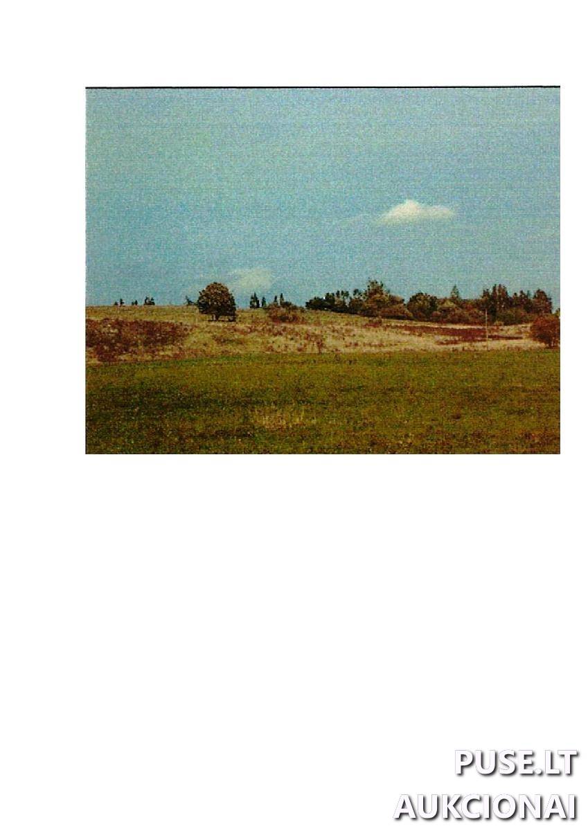 Žemės sklypas Sklypai Intuponys, Stakliškių sen., Prienų r. sav. 4