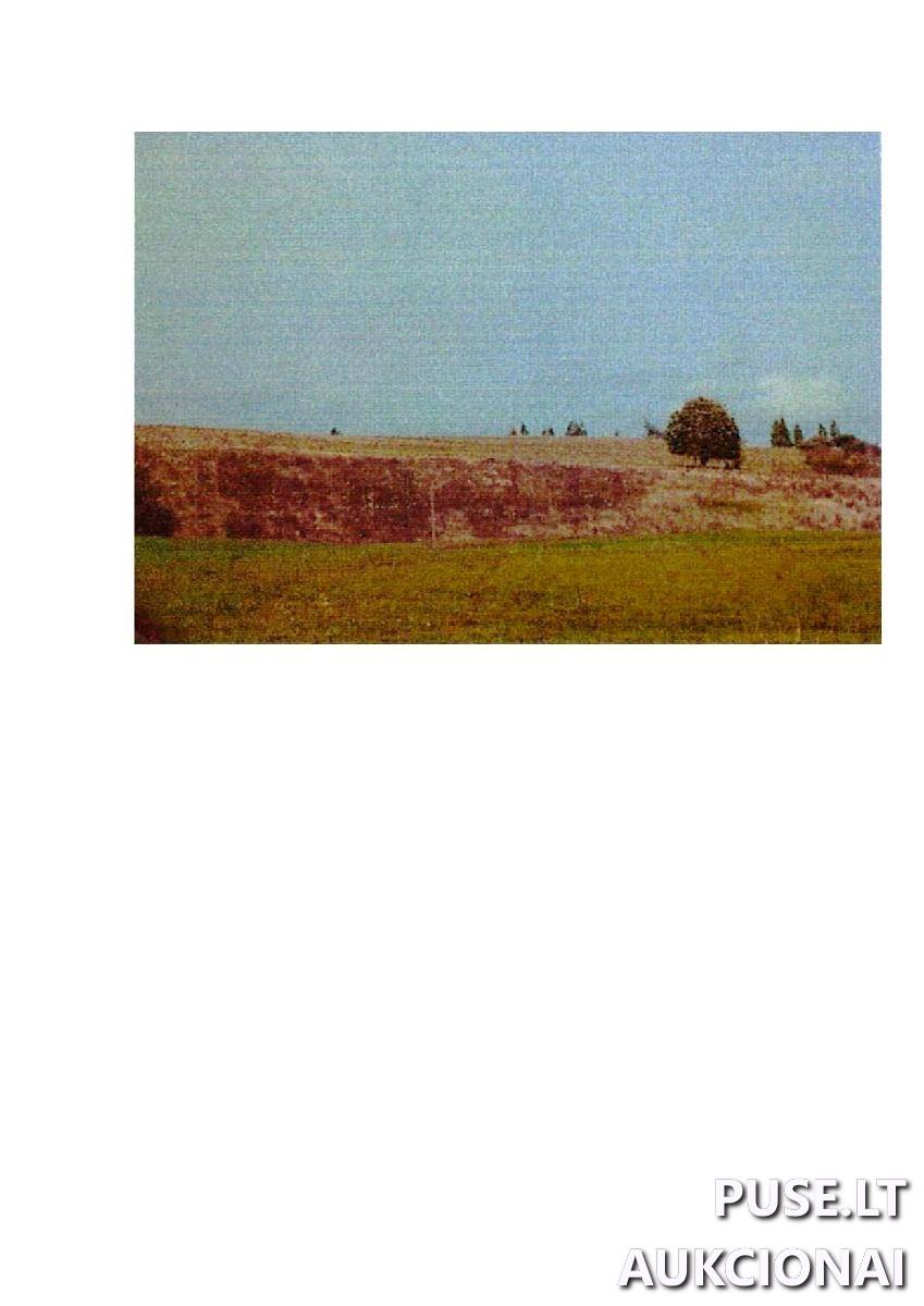 Žemės sklypas Sklypai Intuponys, Stakliškių sen., Prienų r. sav. 5