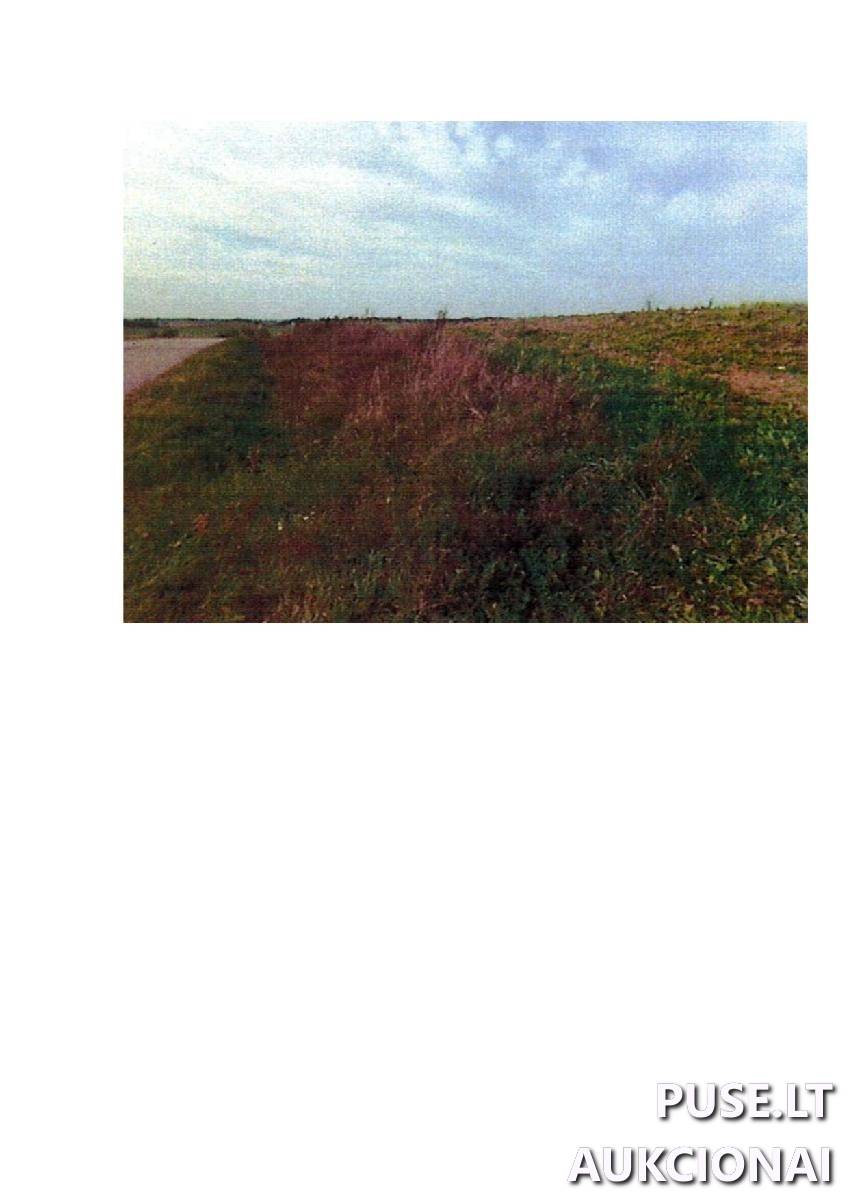 Žemės sklypas Sklypai Intuponys, Stakliškių sen., Prienų r. sav. 1