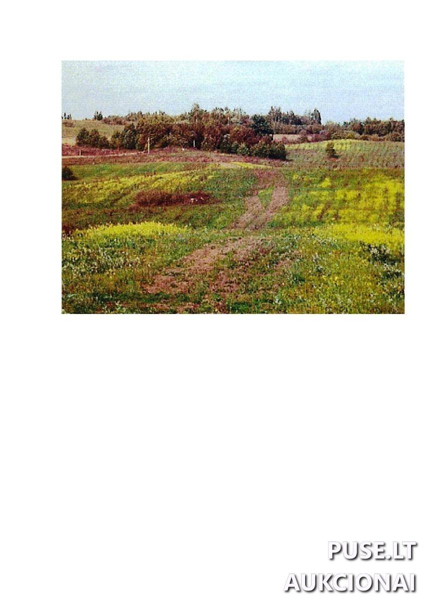 Žemės sklypas Sklypai Intuponys, Stakliškių sen., Prienų r. sav. 3