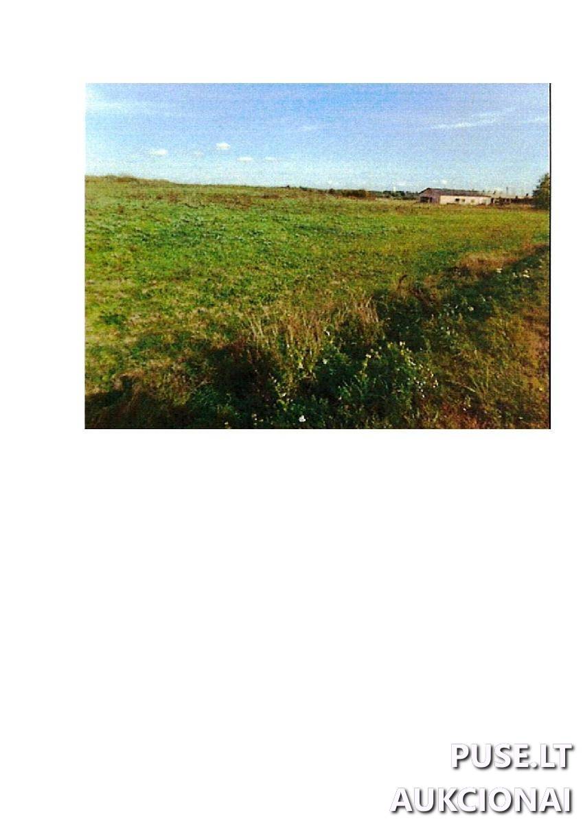 Žemės sklypas Sklypai Intuponys, Stakliškių sen., Prienų r. sav. 5