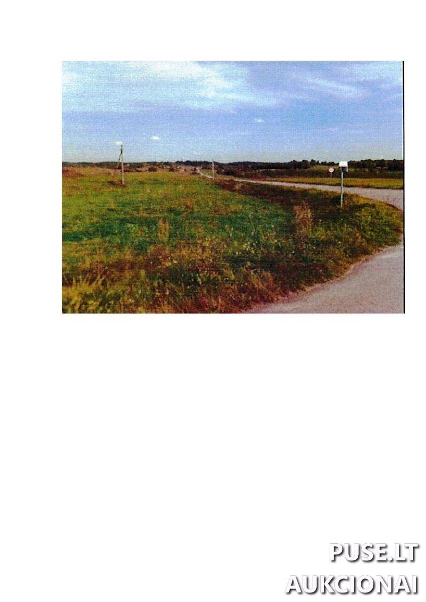 Žemės sklypas Sklypai Intuponys, Stakliškių sen., Prienų r. sav. 1
