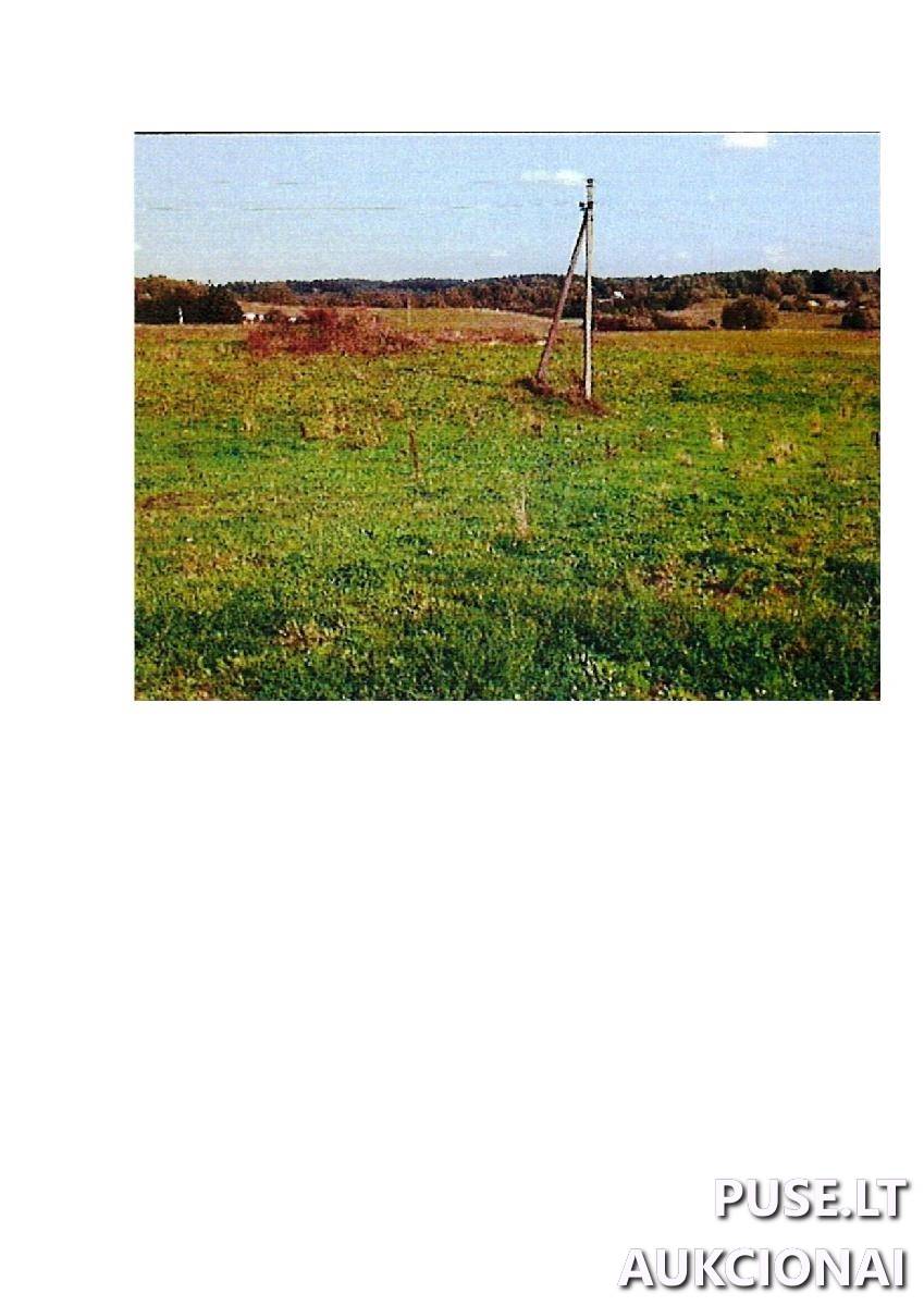 Žemės sklypas Sklypai Intuponys, Stakliškių sen., Prienų r. sav. 3