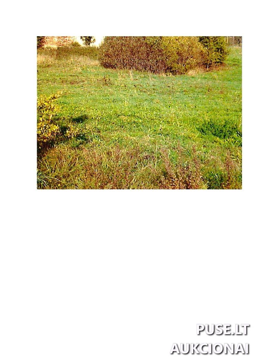 Žemės sklypas Sklypai Intuponys, Stakliškių sen., Prienų r. sav. 5