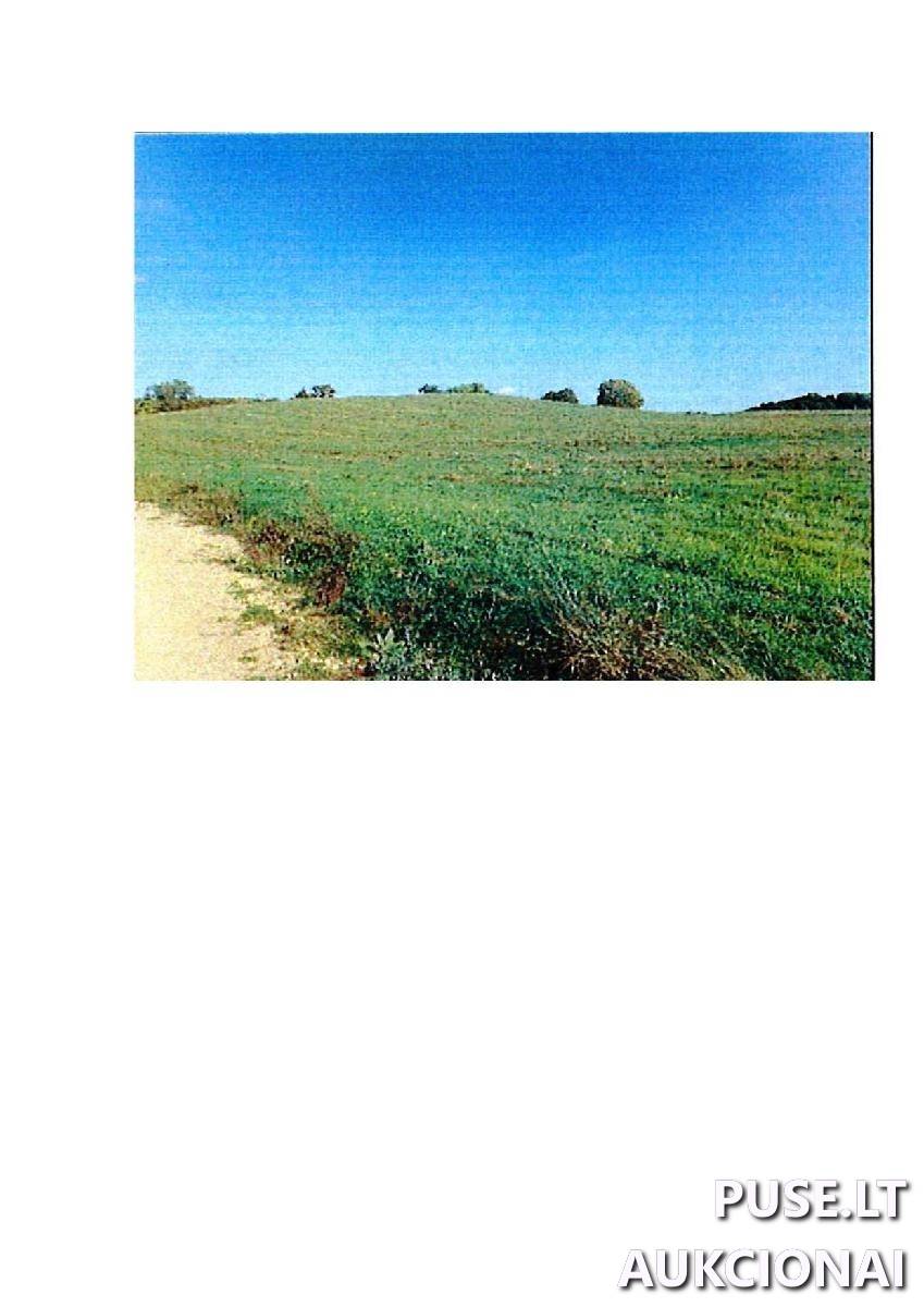 Žemės sklypas Sklypai Rodomislė, Stakliškių sen., Prienų r. sav. 1