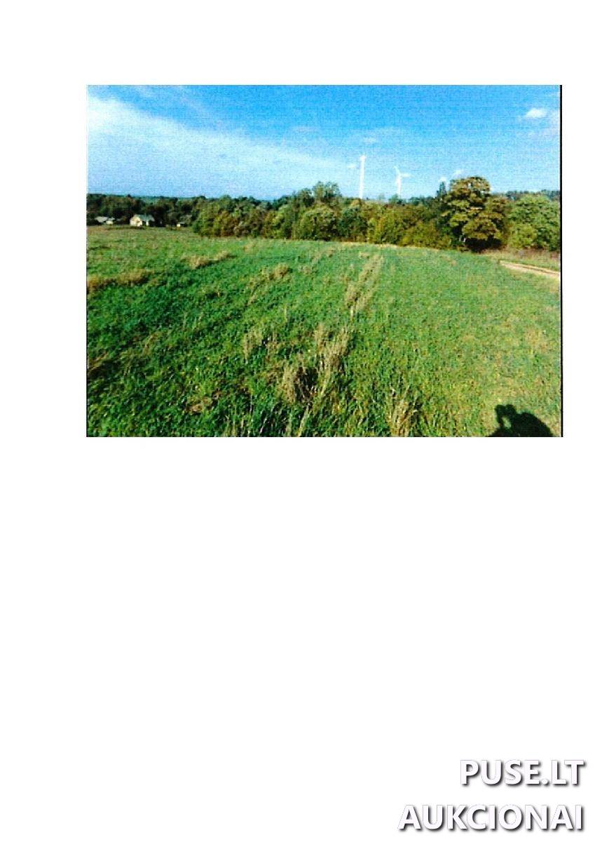 Žemės sklypas Sklypai Rodomislė, Stakliškių sen., Prienų r. sav. 4