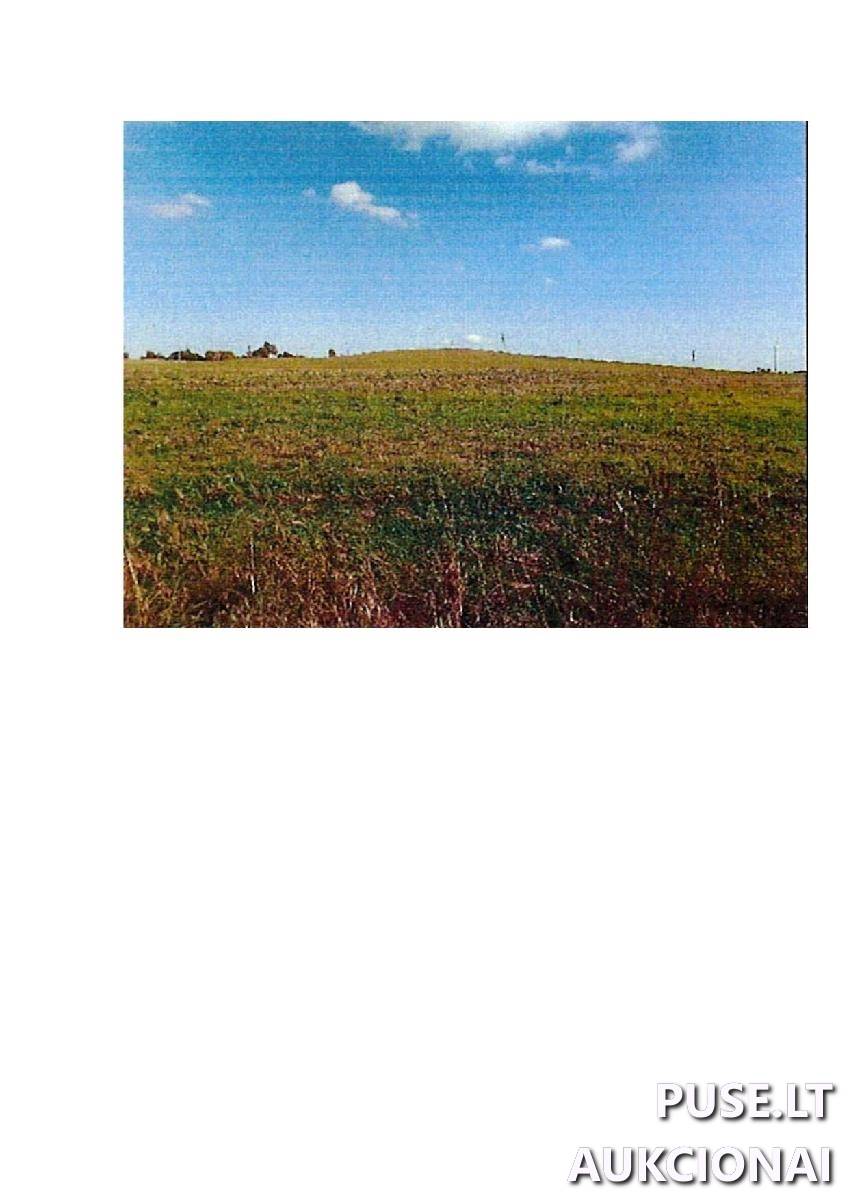 Žemės sklypas Sklypai Rodomislė, Stakliškių sen., Prienų r. sav. 5