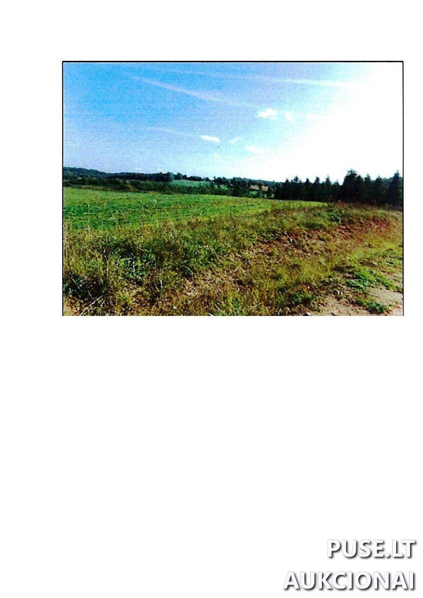 Žemės sklypas Sklypai Rodomislė, Stakliškių sen., Prienų r. sav. 2