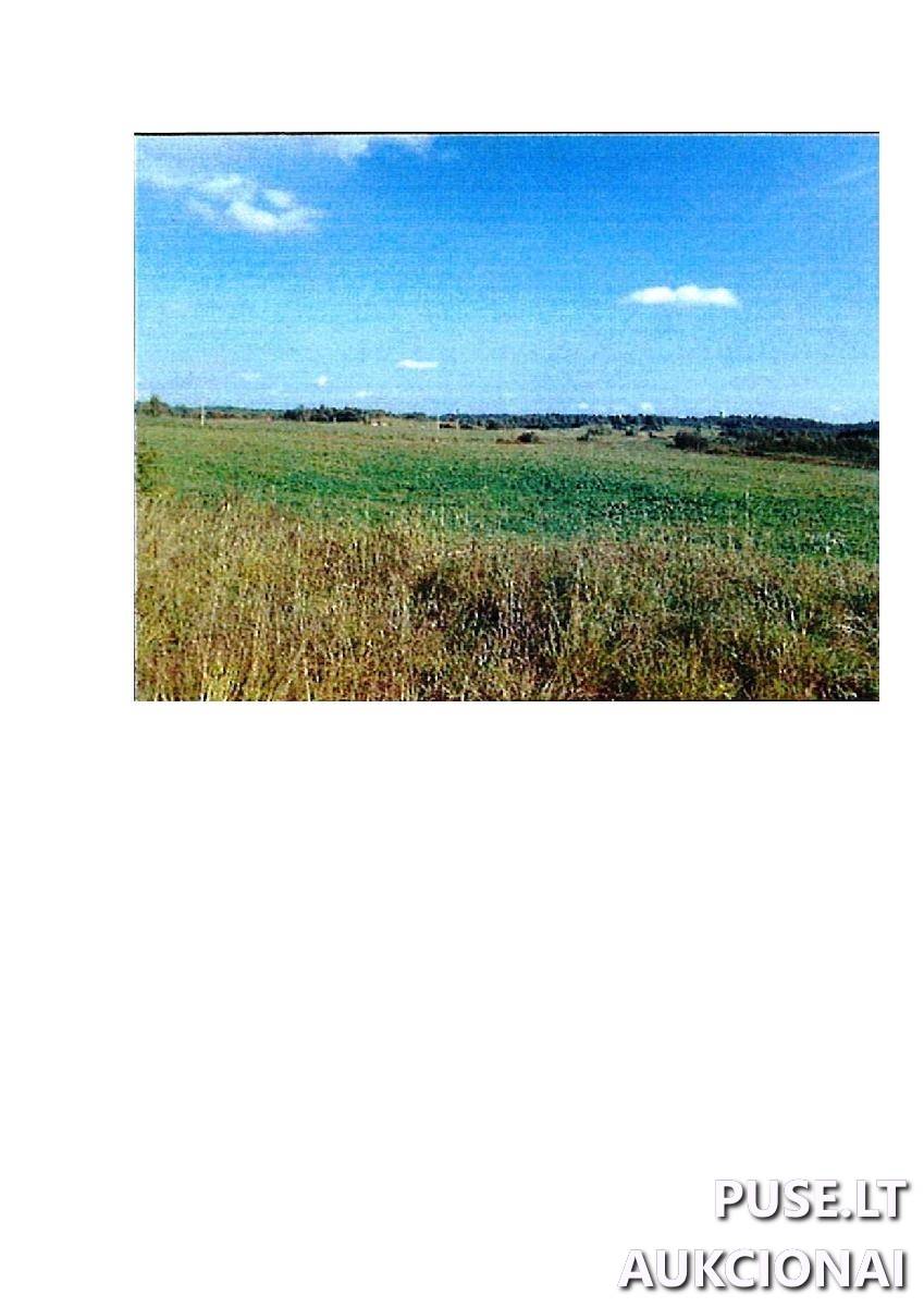 Žemės sklypas Sklypai Rodomislė, Stakliškių sen., Prienų r. sav. 3