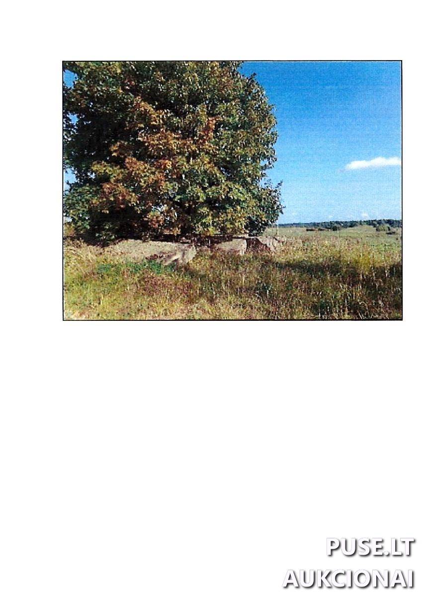 Žemės sklypas Sklypai Rodomislė, Stakliškių sen., Prienų r. sav. 5