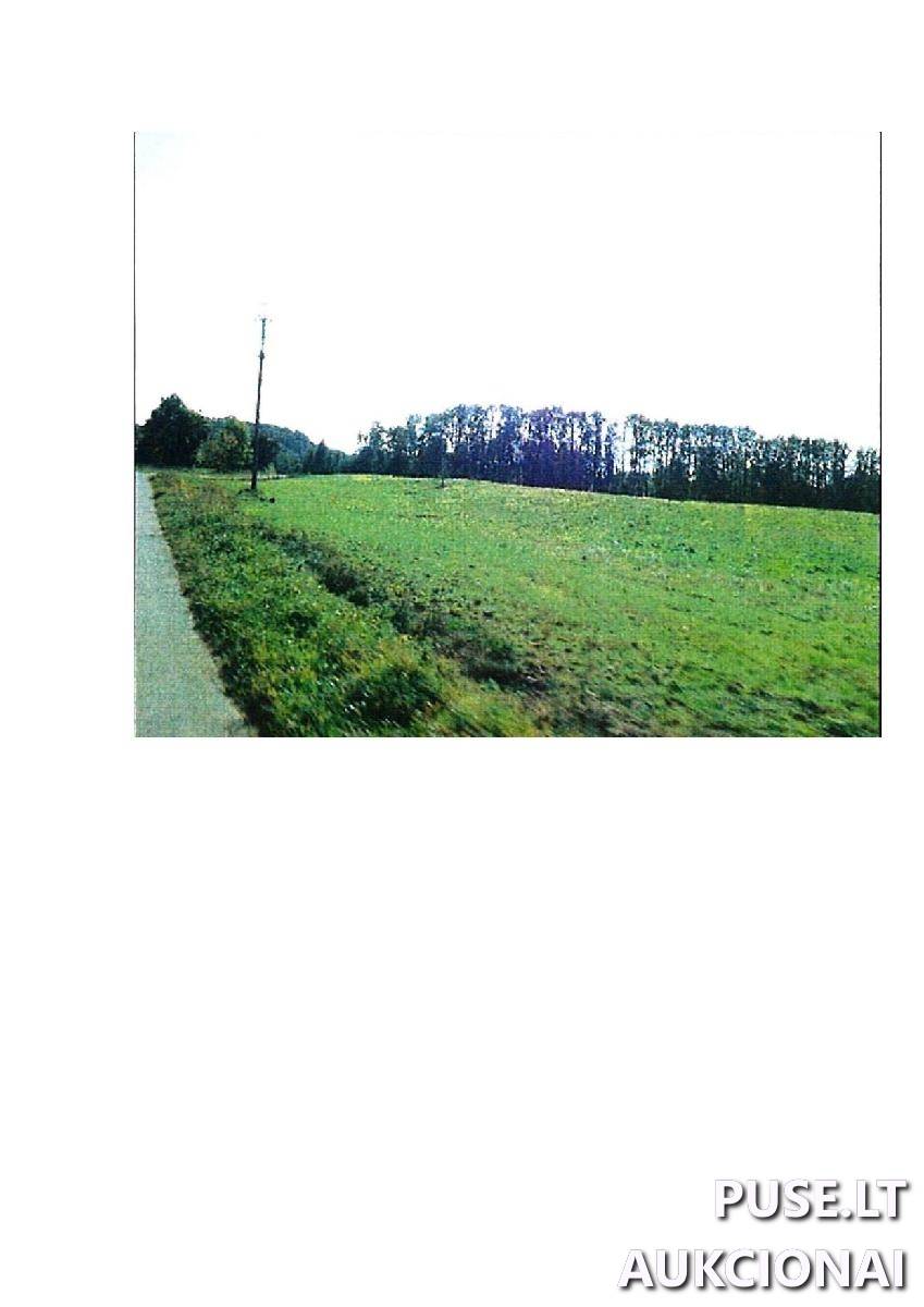 Žemės sklypas Sklypai Guostaus g. 20, 59366 Rodomislė, Stakliškių sen., Prienų r. sav. 1