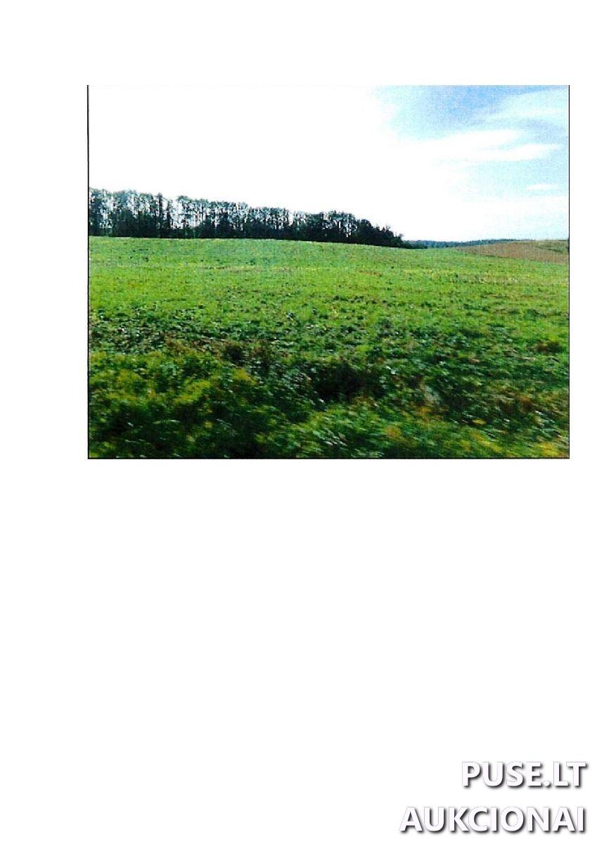 Žemės sklypas Sklypai Guostaus g. 20, 59366 Rodomislė, Stakliškių sen., Prienų r. sav. 2