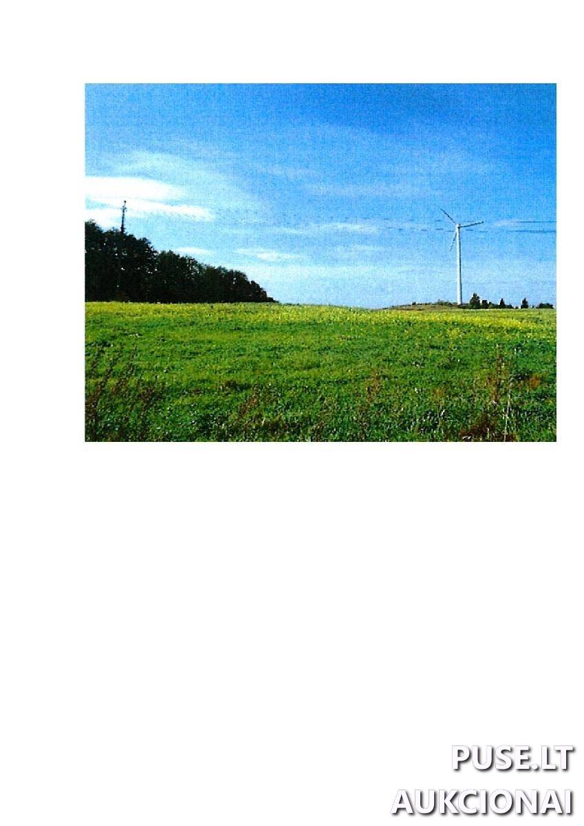 Žemės sklypas Sklypai Guostaus g. 20, 59366 Rodomislė, Stakliškių sen., Prienų r. sav. 3