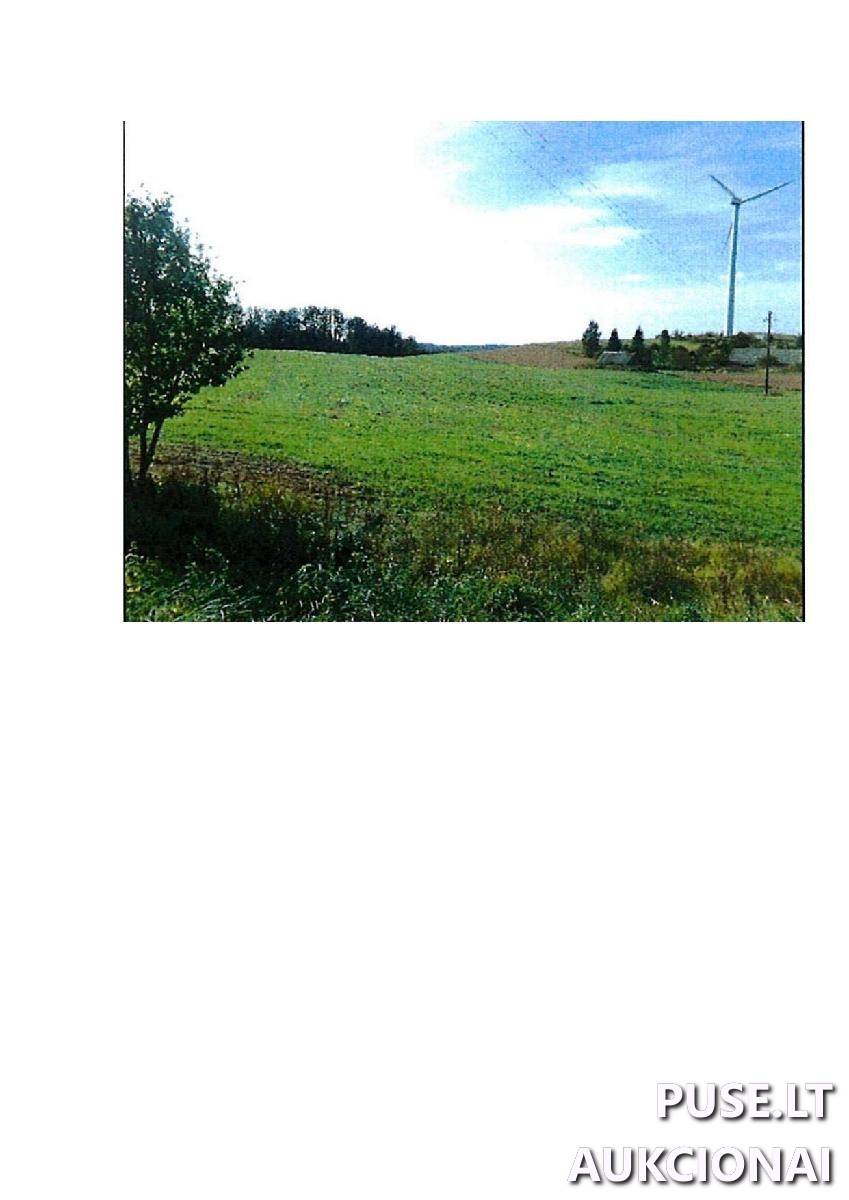 Žemės sklypas Sklypai Guostaus g. 20, 59366 Rodomislė, Stakliškių sen., Prienų r. sav. 4