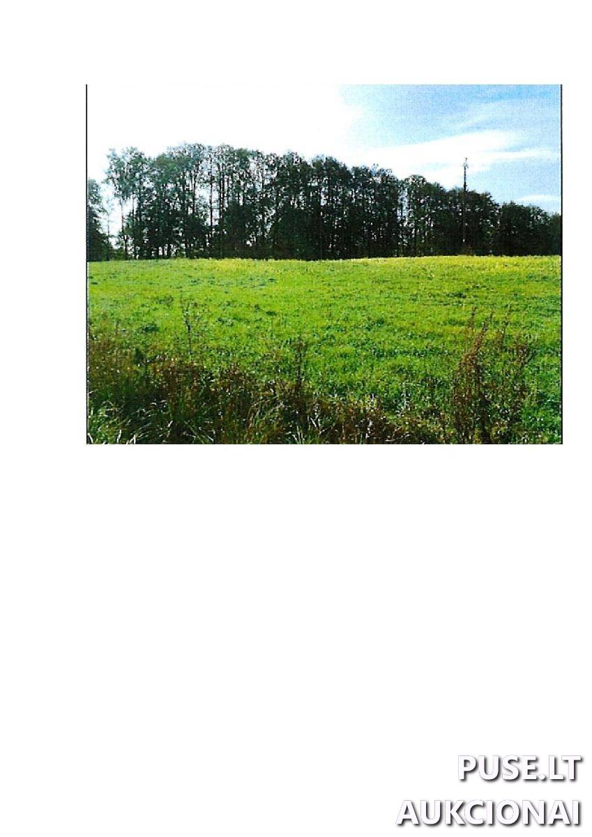 Žemės sklypas Sklypai Guostaus g. 20, 59366 Rodomislė, Stakliškių sen., Prienų r. sav. 5