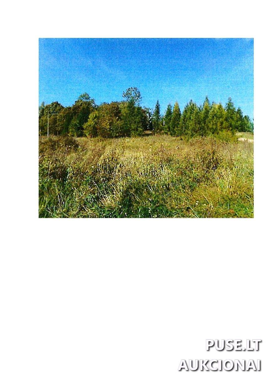 Žemės sklypas Sklypai Guostaus g. 20, 59366 Rodomislė, Stakliškių sen., Prienų r. sav. 6