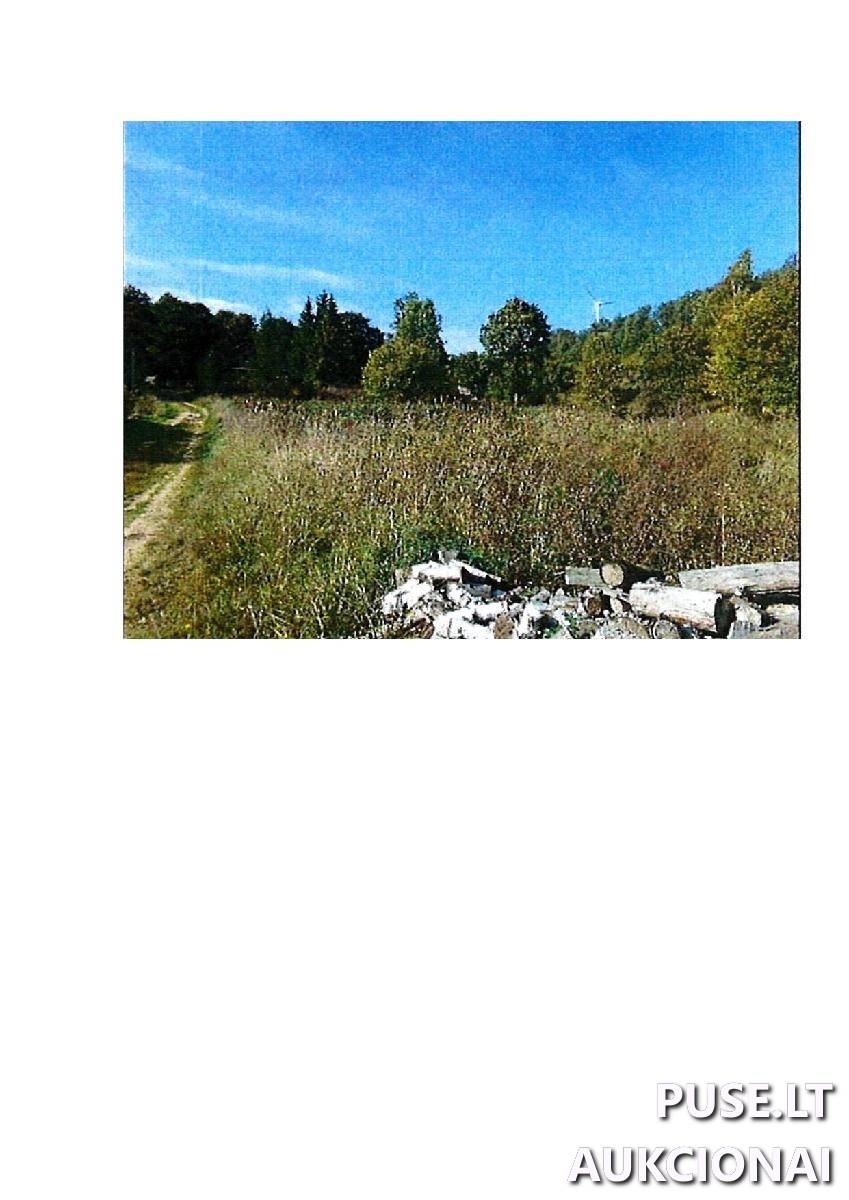 Žemės sklypas Sklypai Guostaus g. 20, 59366 Rodomislė, Stakliškių sen., Prienų r. sav. 7