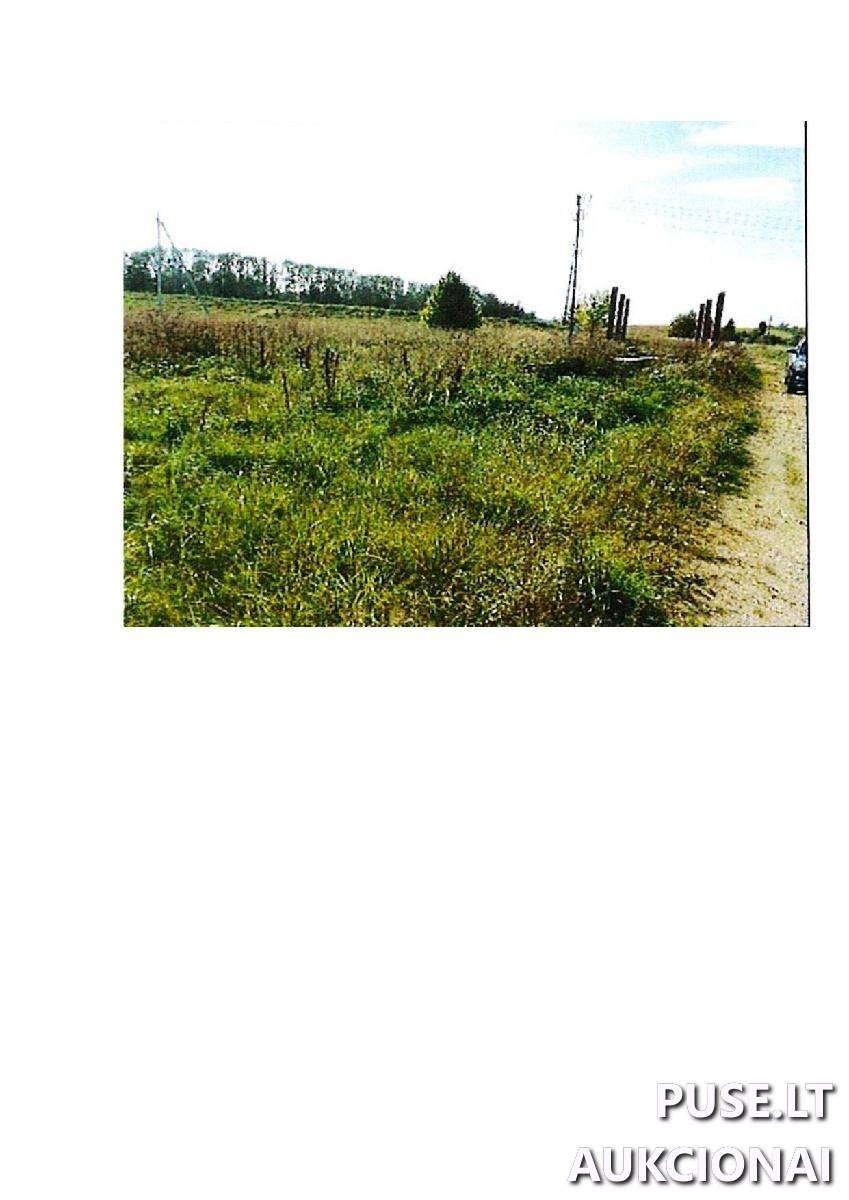 Žemės sklypas Sklypai Lauko g. 22, 59366 Intuponys, Stakliškių sen., Prienų r. sav. 1