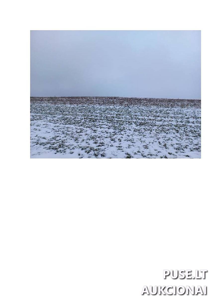 Žemės sklypas Sklypai Bytautonys, Jakėnų sen., Varėnos r. sav. 1