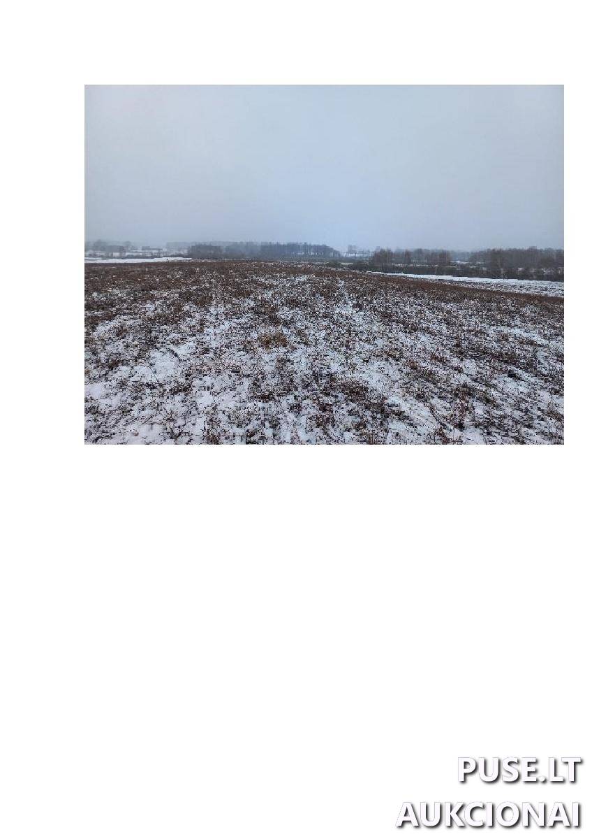 Žemės sklypas Sklypai Bytautonys, Jakėnų sen., Varėnos r. sav. 3