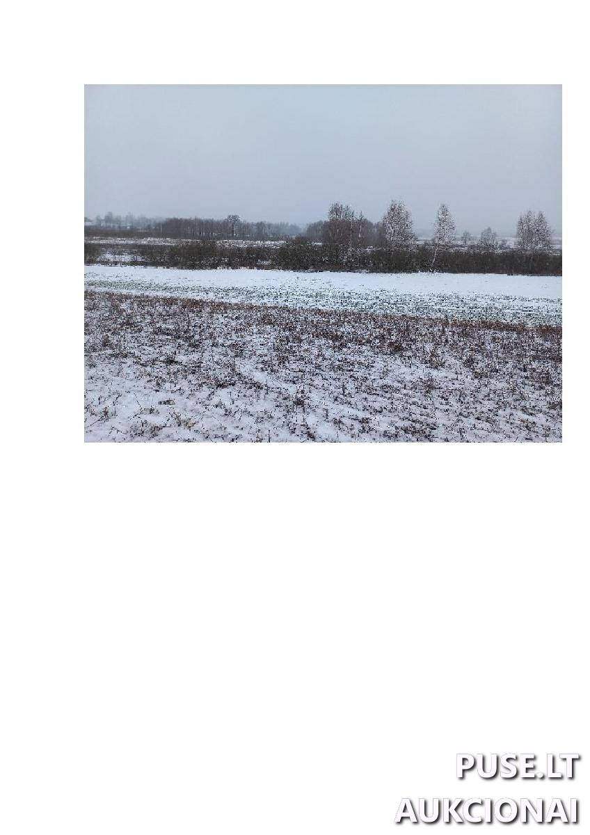 Žemės sklypas Sklypai Bytautonys, Jakėnų sen., Varėnos r. sav. 4