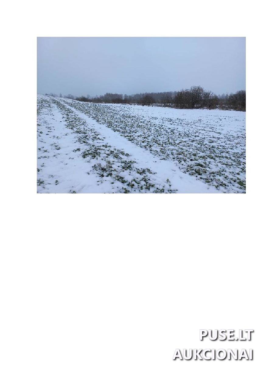 Žemės sklypas Sklypai Bytautonys, Jakėnų sen., Varėnos r. sav. 5
