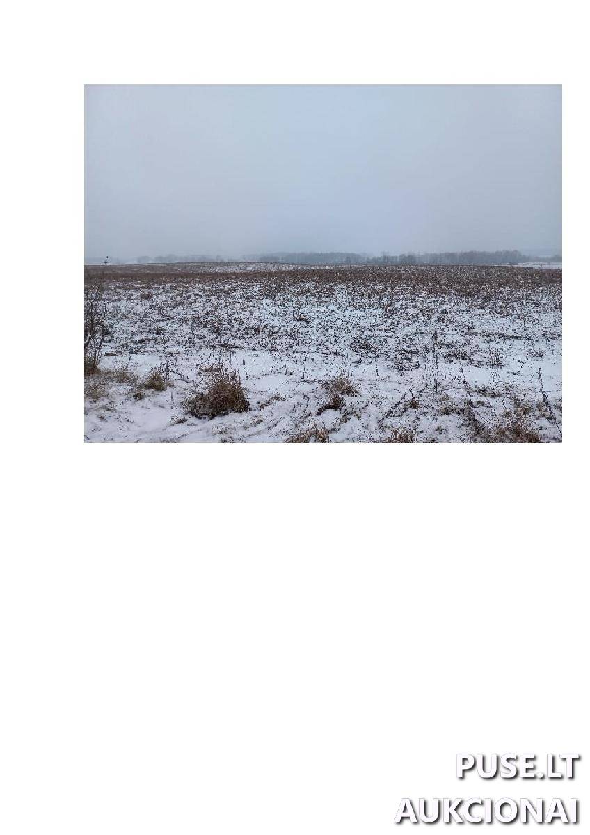 Žemės sklypas Sklypai Bytautonys, Jakėnų sen., Varėnos r. sav. 6