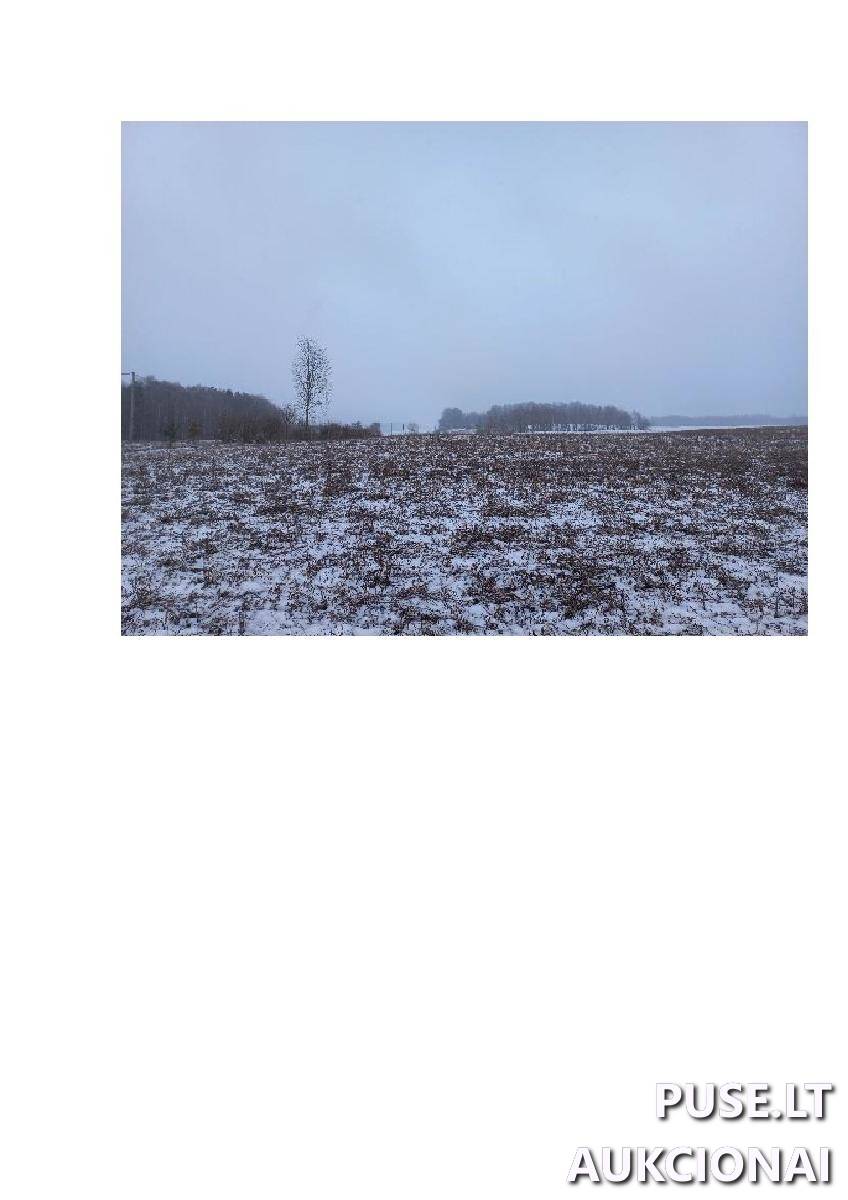 Žemės sklypas Sklypai Bytautonys, Jakėnų sen., Varėnos r. sav. 8