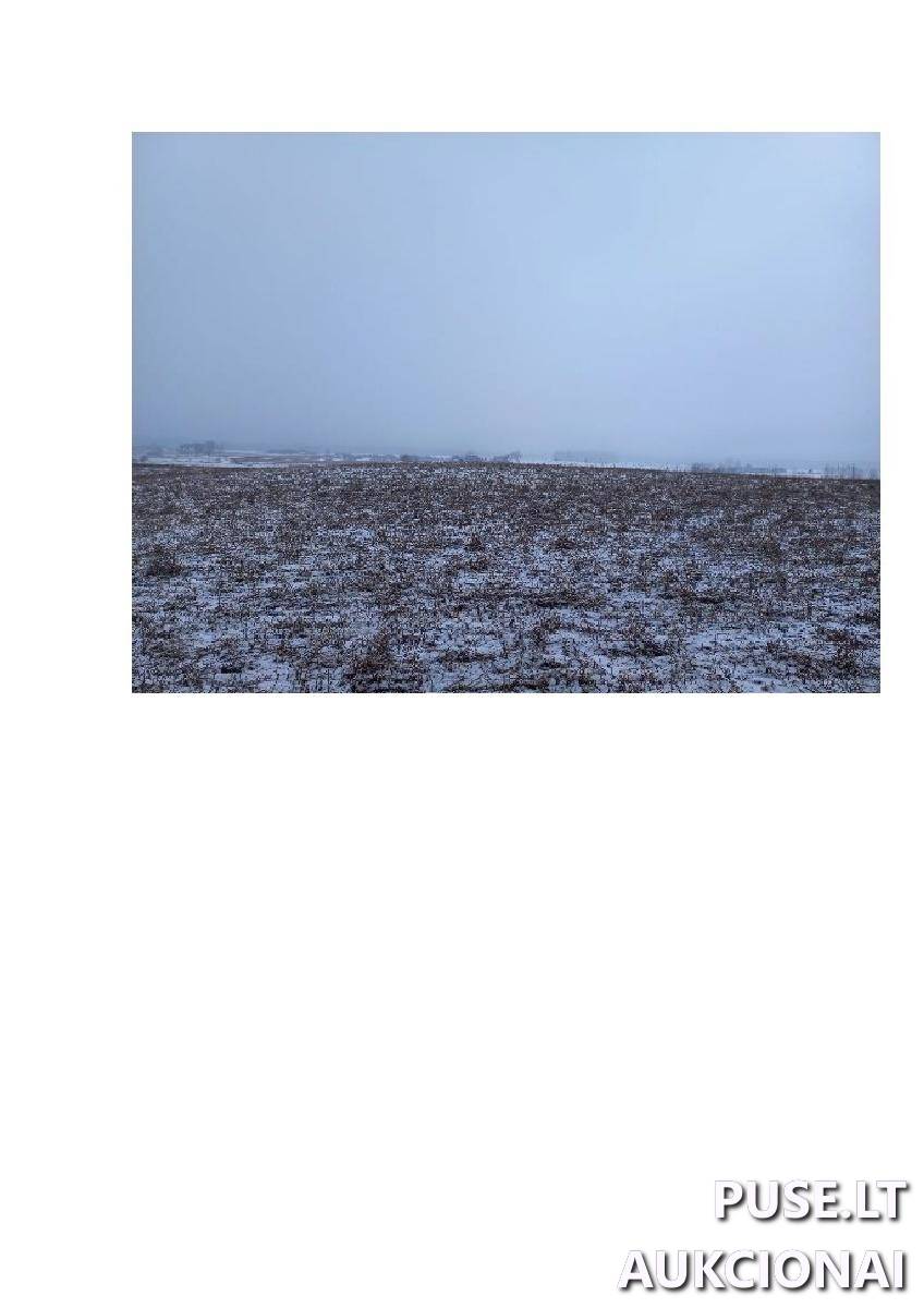 Žemės sklypas Sklypai Bytautonys, Jakėnų sen., Varėnos r. sav. 9