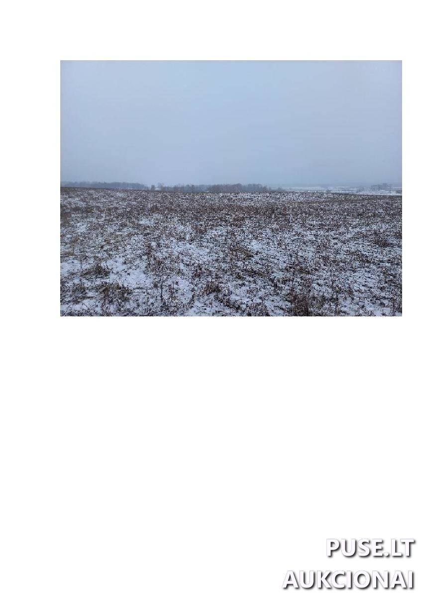 Žemės sklypas Sklypai Bytautonys, Jakėnų sen., Varėnos r. sav. 10