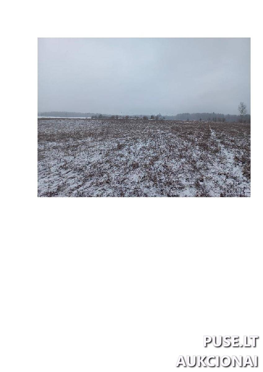 Žemės sklypas Sklypai Bytautonys, Jakėnų sen., Varėnos r. sav. 11