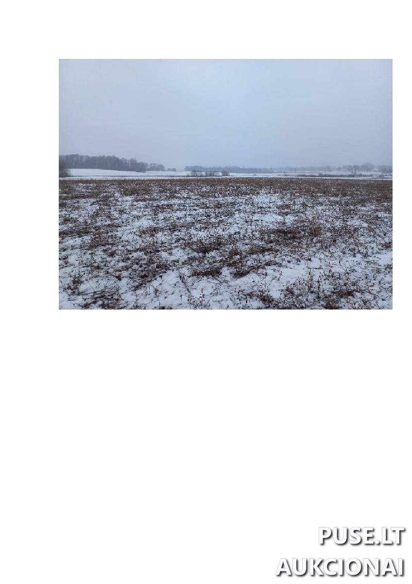 Žemės sklypas Sklypai Bytautonys, Jakėnų sen., Varėnos r. sav. 12