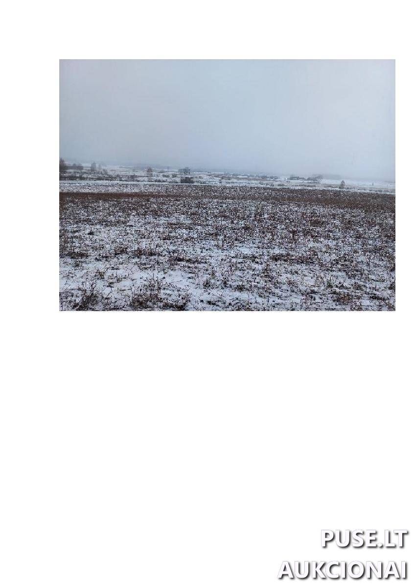 Žemės sklypas Sklypai Bytautonys, Jakėnų sen., Varėnos r. sav. 13