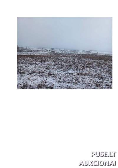Žemės ūkio paskirties sklypo 3/8 dalis Varėnos r. sav., Bytautonių k. aukcionas nuo 9280 EUR