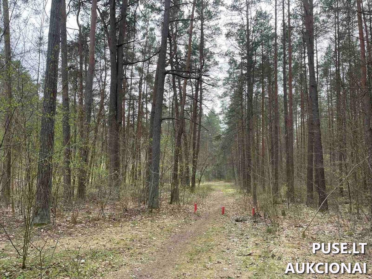 Žemės sklypas Sklypai Svajonių g. 18, 10100 Vilnius, Vilniaus m. sav. 6