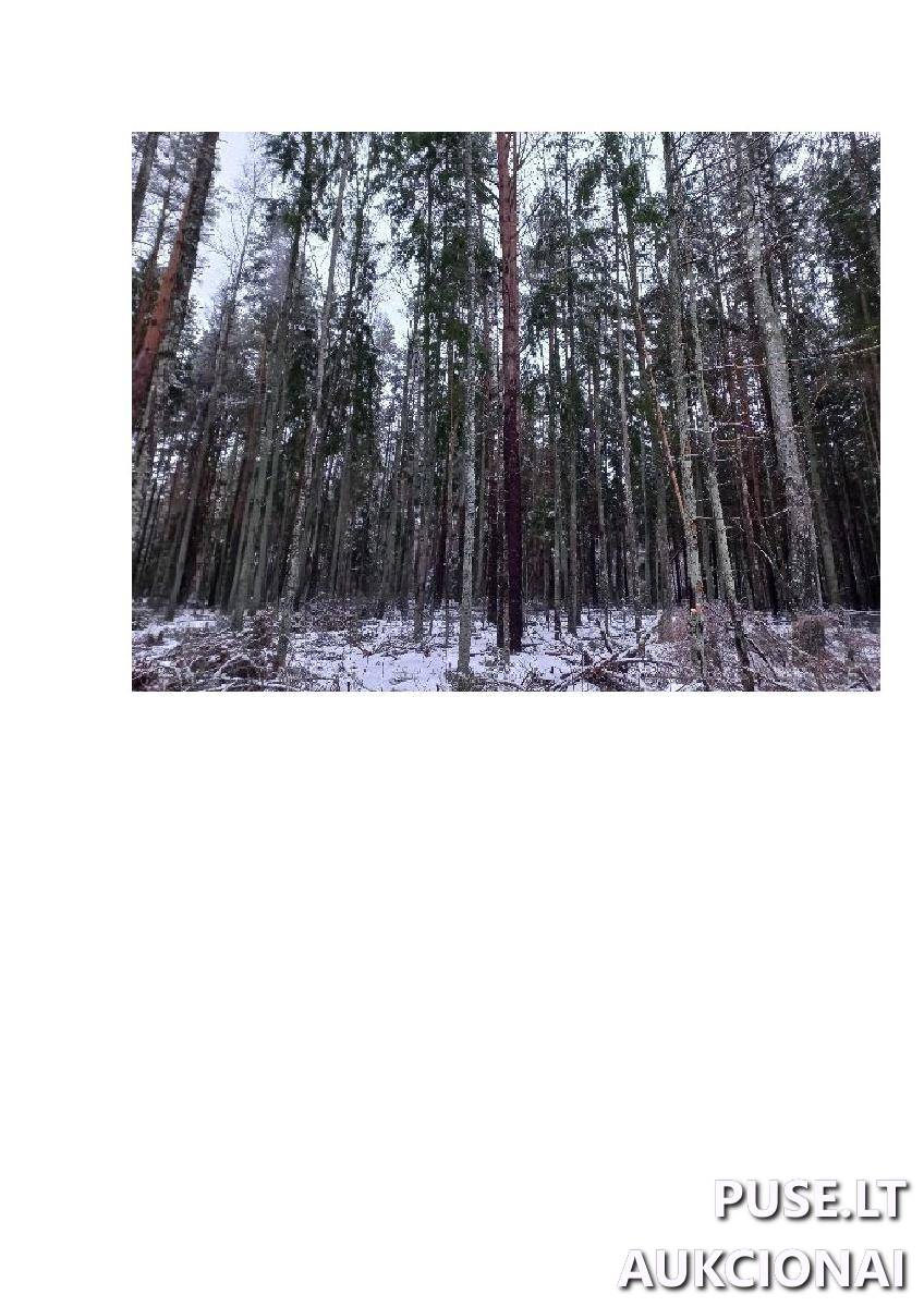 Žemės sklypas Sklypai Vergakiemis, Jakėnų sen., Varėnos r. sav. 3
