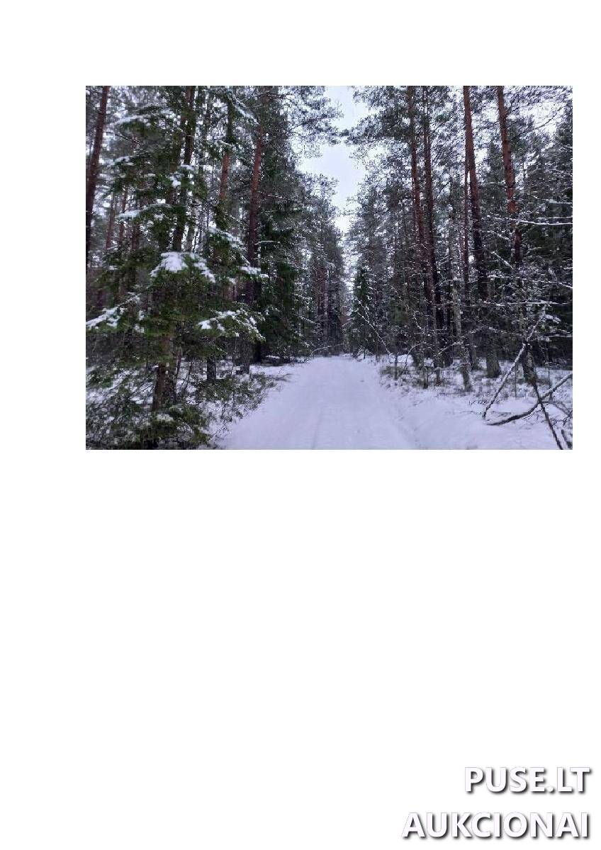 Žemės sklypas Sklypai Vergakiemis, Jakėnų sen., Varėnos r. sav. 5